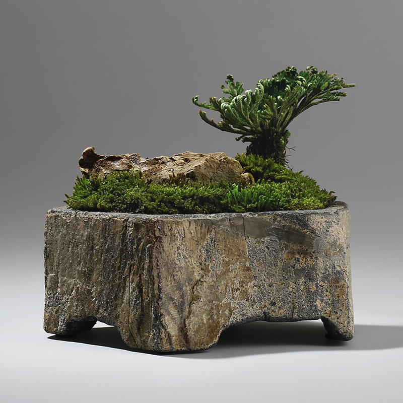 Bonsai Garden Indoor - Pot de fleurs en pierre naturelle