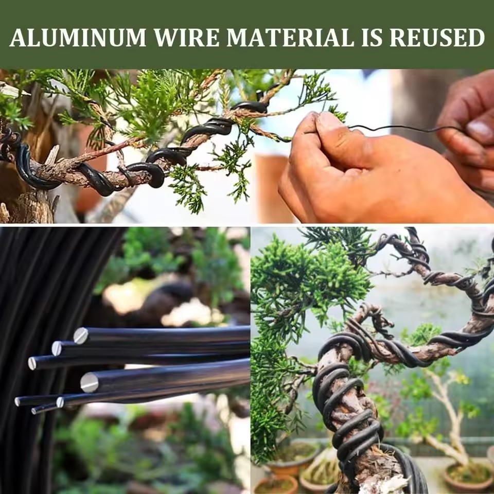Bonsai Garden Accessories - Fil de Bonsaï en Aluminium Anodisé