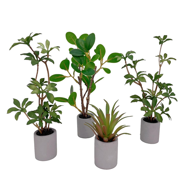 Bonsai Garden Accessories - Plante l'inventaire en pot pour maison