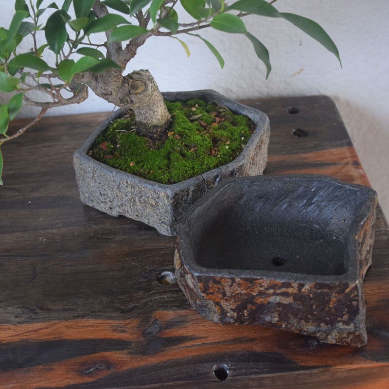 Pot de fleurs en pierre nature - Bonsai Garden Indoor avis et prix