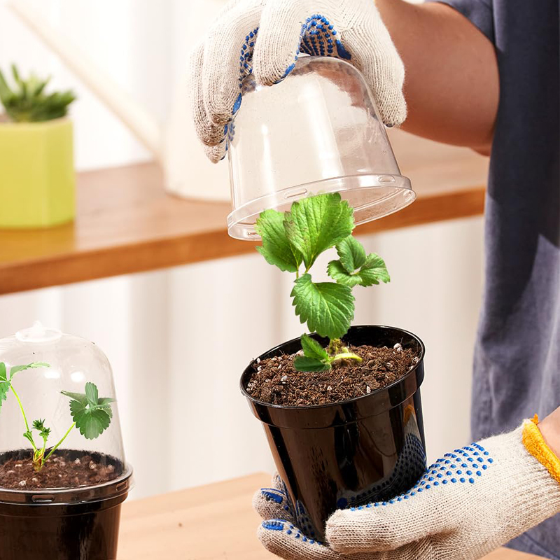 Pots de pépinière, pots à fleu - Bonsai Garden Indoor avis et prix