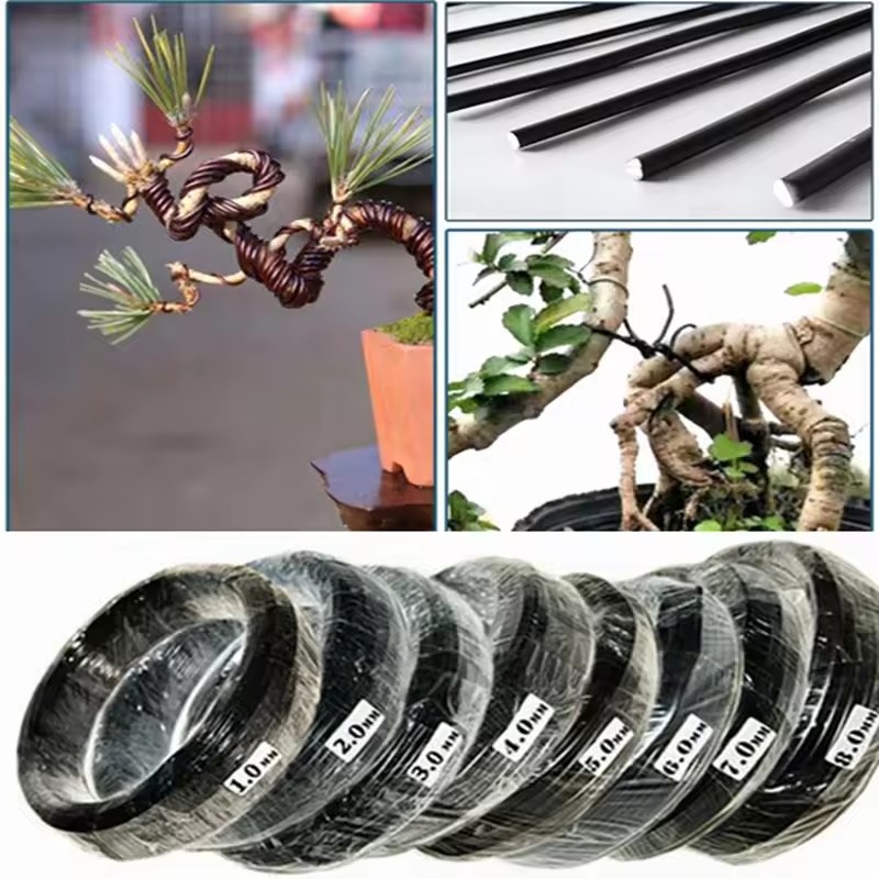 Fil de Bonsaï en Aluminium Ano - Bonsai Garden Accessories avis et prix
