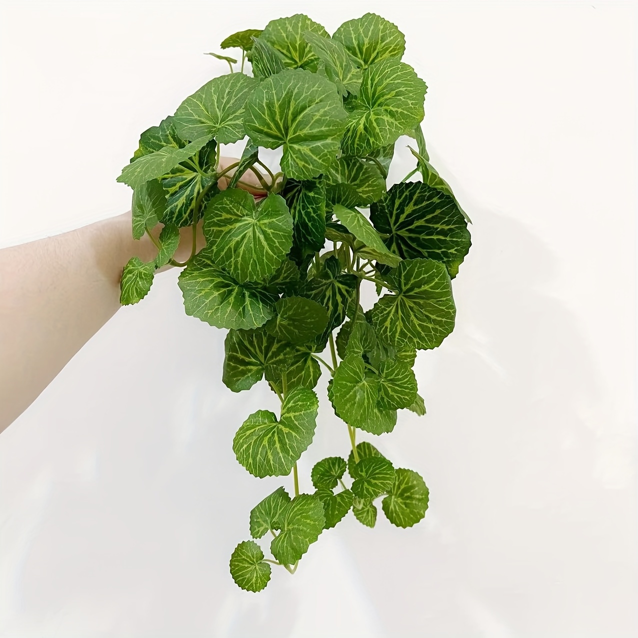 Une plante grimpante artificie - Bonsai Garden Indoor avis et prix