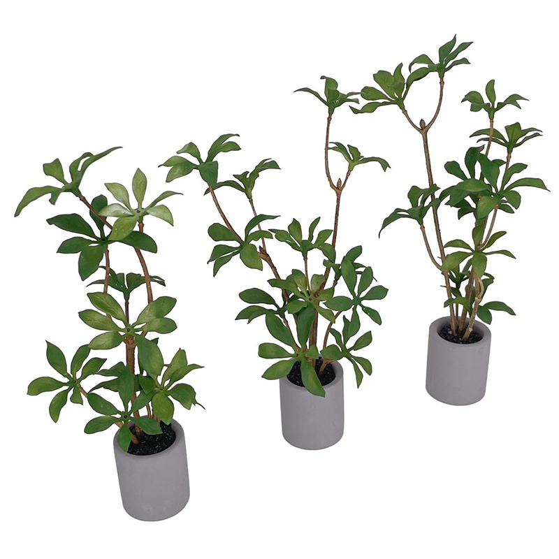 Plante l'inventaire en pot pou - Bonsai Garden Accessories avis et prix