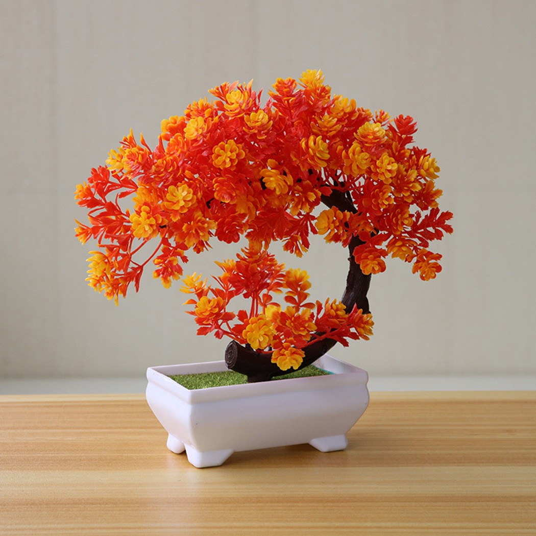 Ornement bonsaï en plastique p - Bonsai Garden Indoor avis et prix