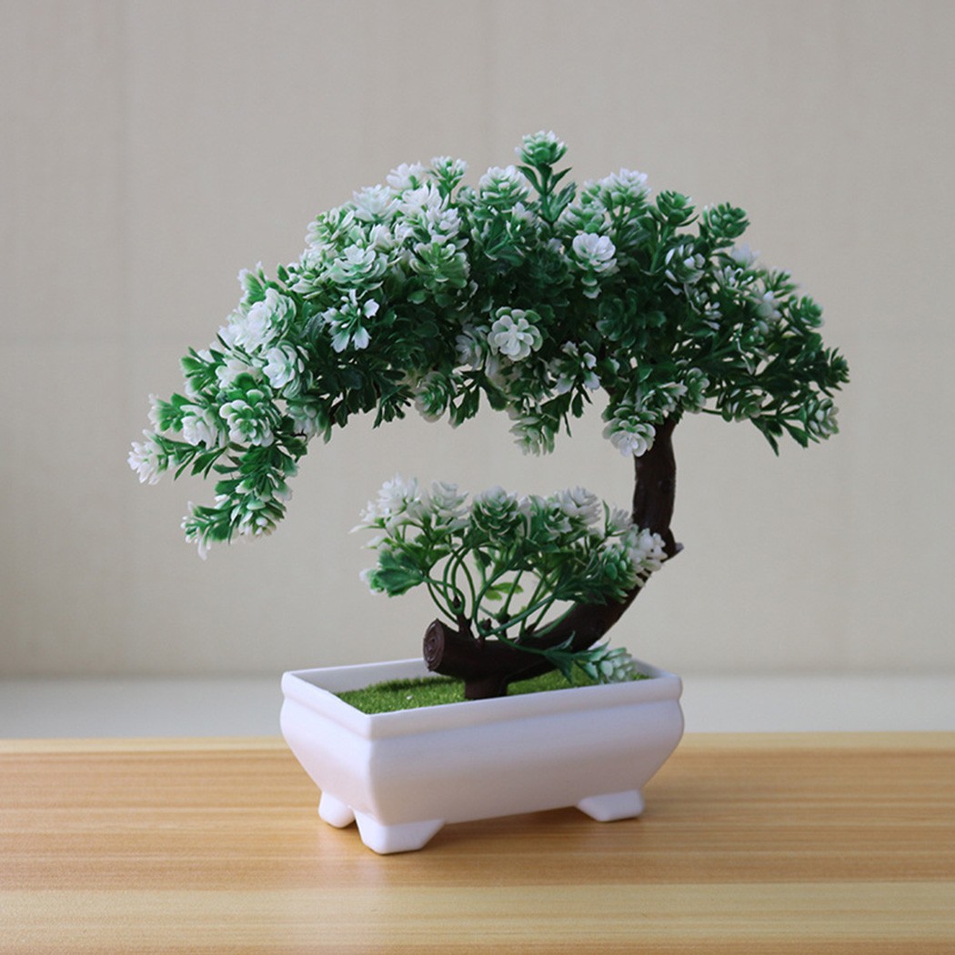 Ornement bonsaï en plastique p - Bonsai Garden Indoor avis et prix
