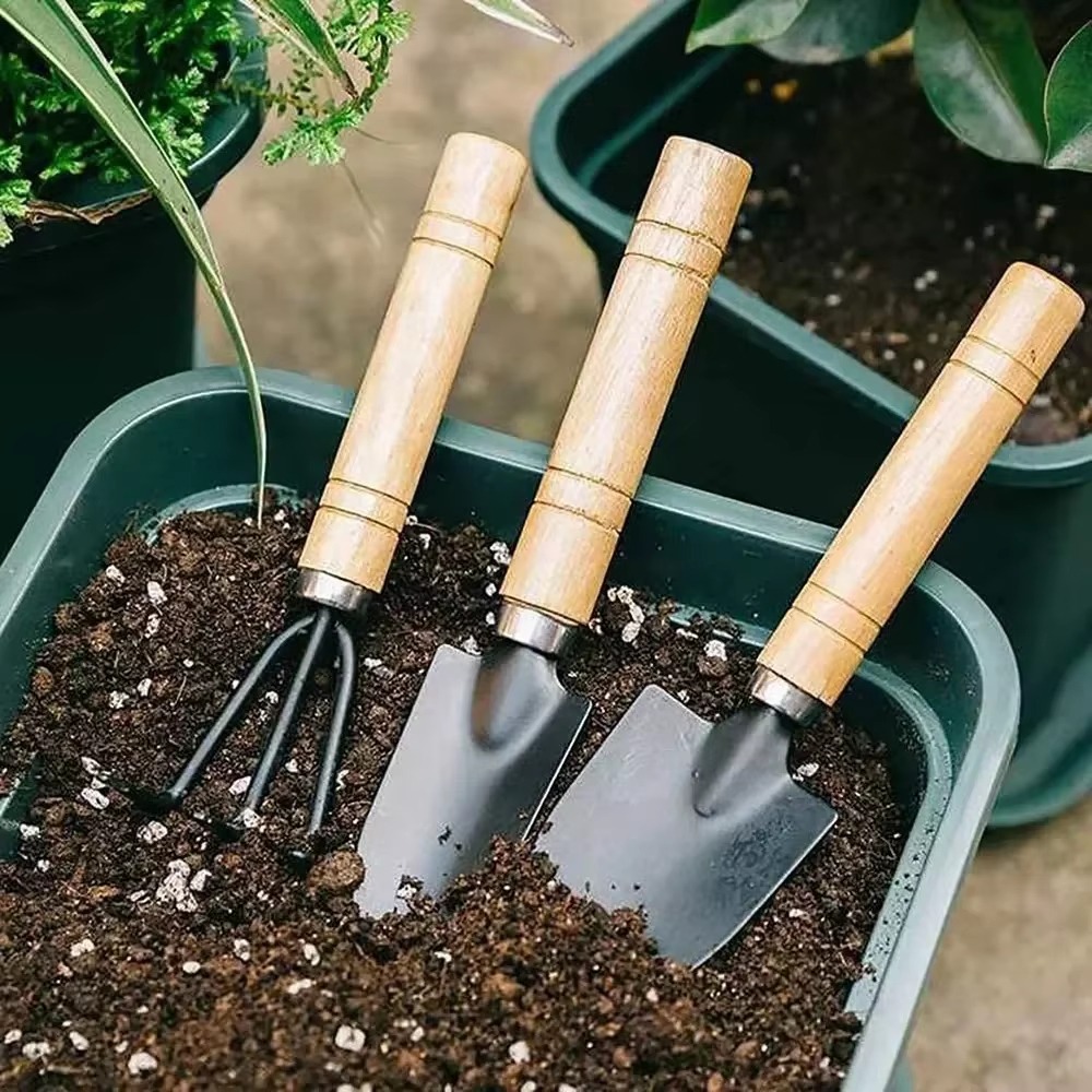 Ensemble d'outils de jardinage - Soil Scoop Tool avis et prix