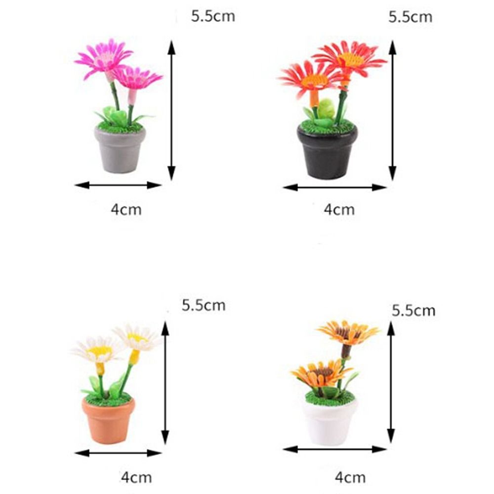 Plante Miniature en Pot pour m - Bonsai Garden Accessories avis et prix