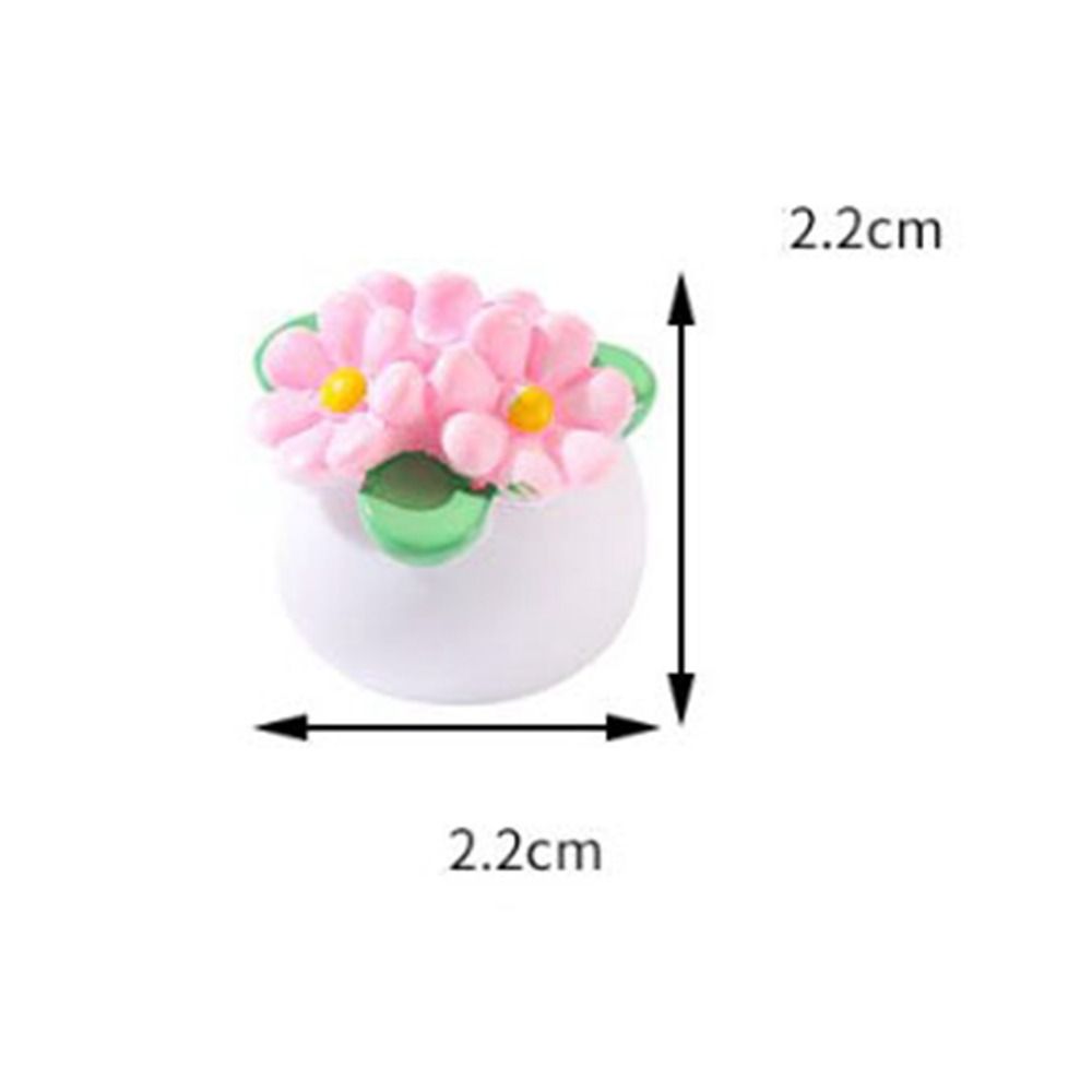 Plante Miniature en Pot pour m - Bonsai Garden Accessories avis et prix