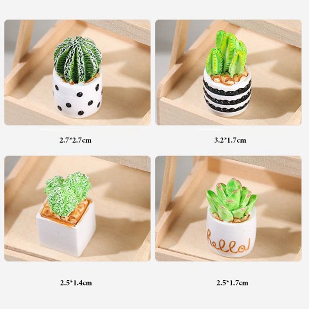 Plante Miniature en Pot pour m - Bonsai Garden Accessories avis et prix