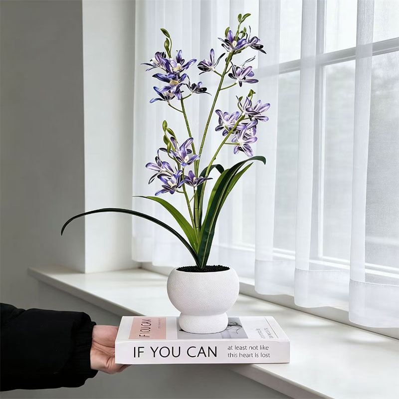 Pot de sable noir orchidée sau - Bonsai Garden With Sand avis et prix