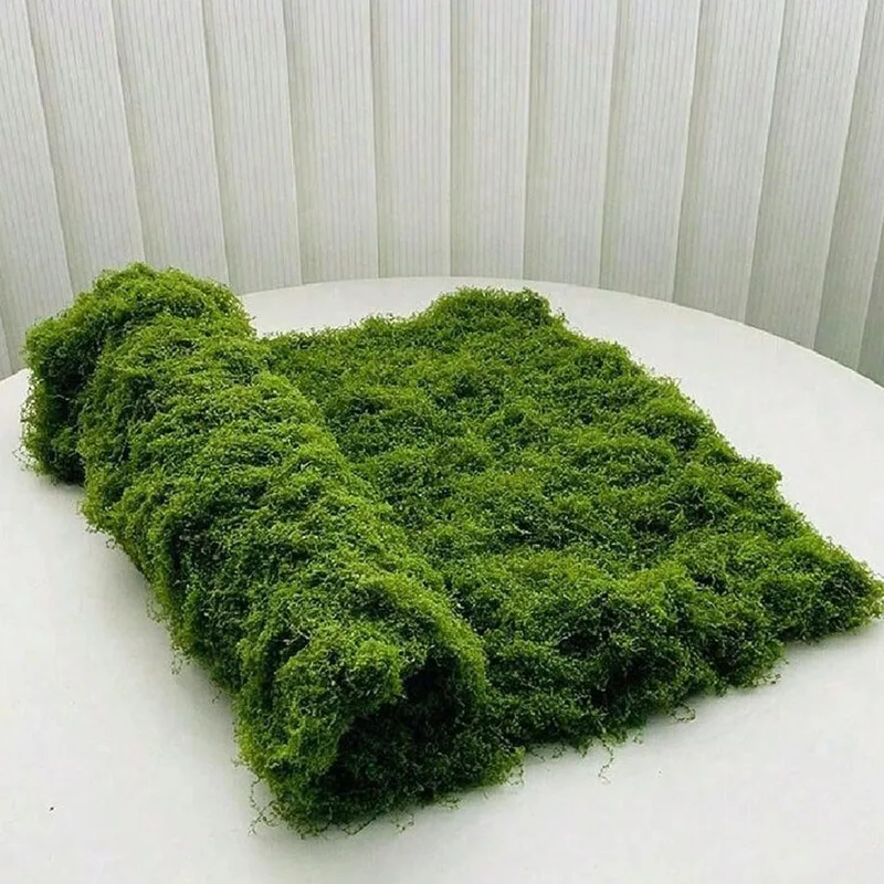 Mousse artificielle pour la dé - Bonsai Garden Accessories avis et prix