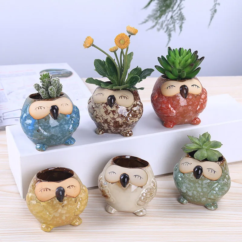 Mini pot à succulentes en céra - Bonsai Garden Wall avis et prix