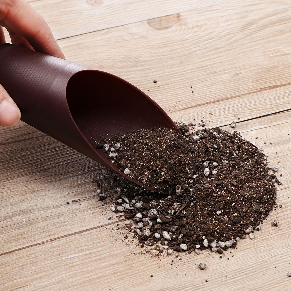 Tasse de pelle à sol en plasti - Bonsai Garden Accessories avis et prix